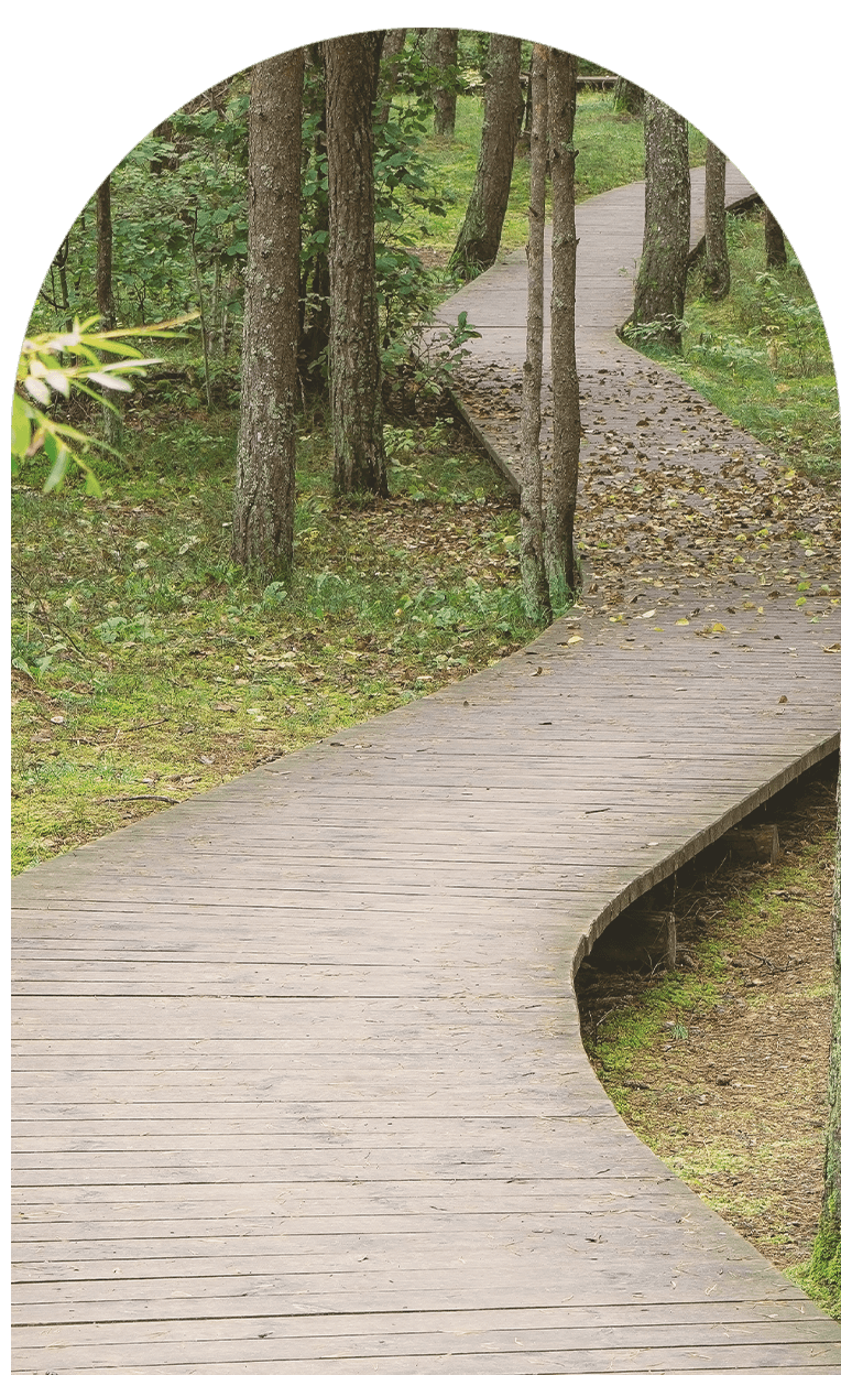 winding path outdoors