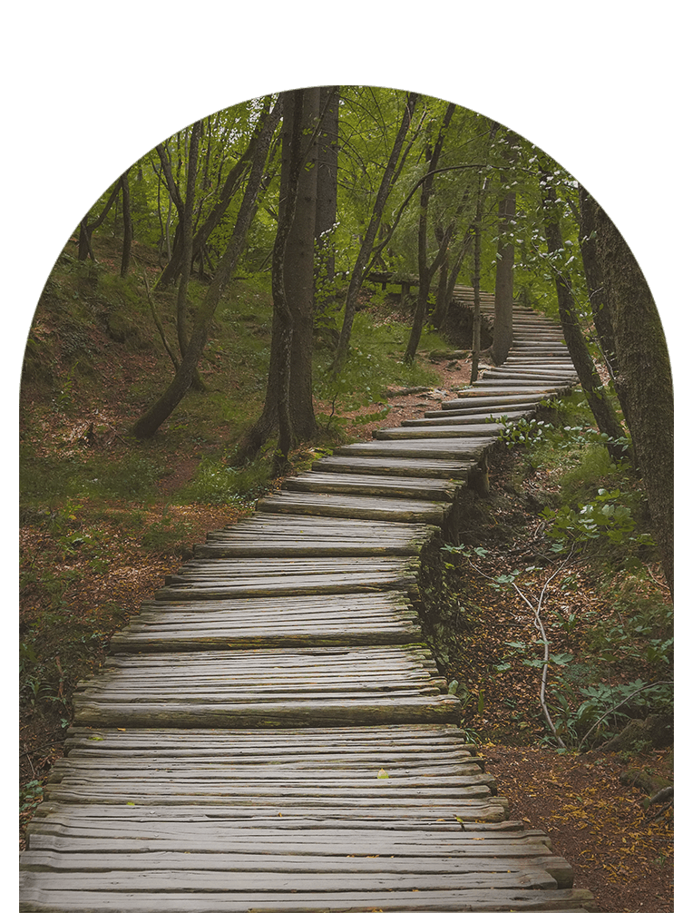 winding path outdoors